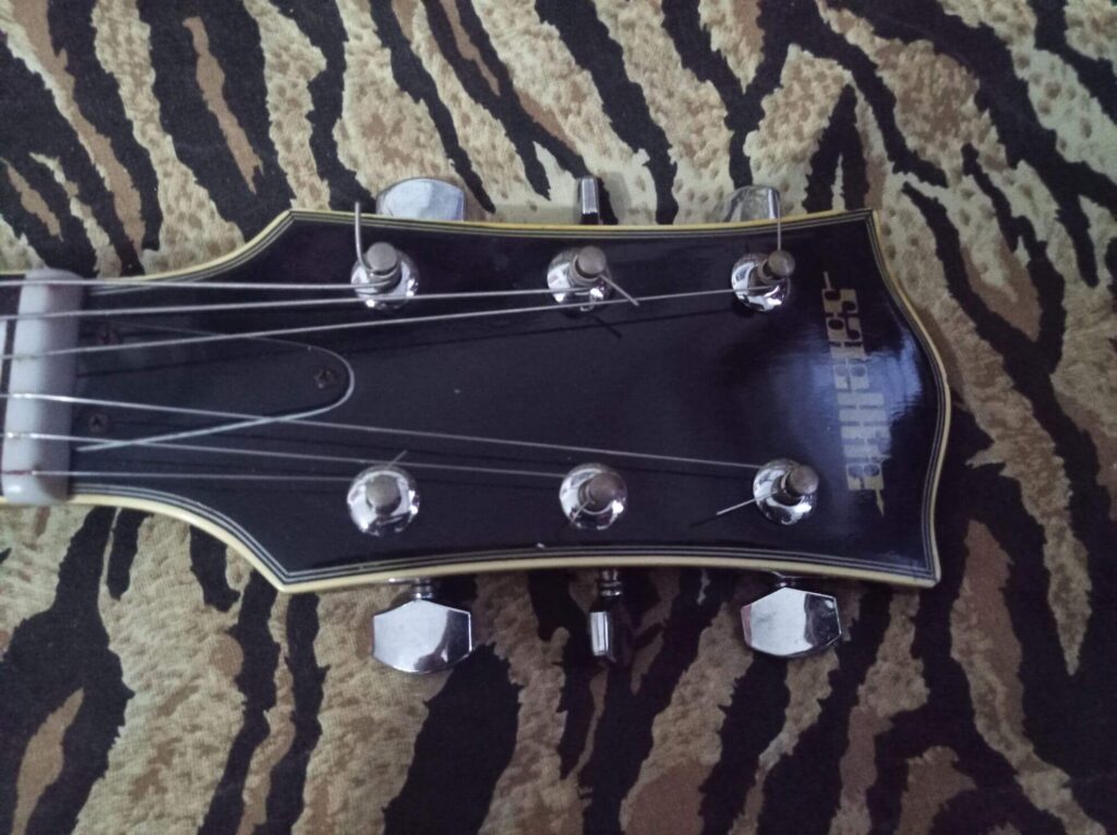 Paletta della Satellite 95i