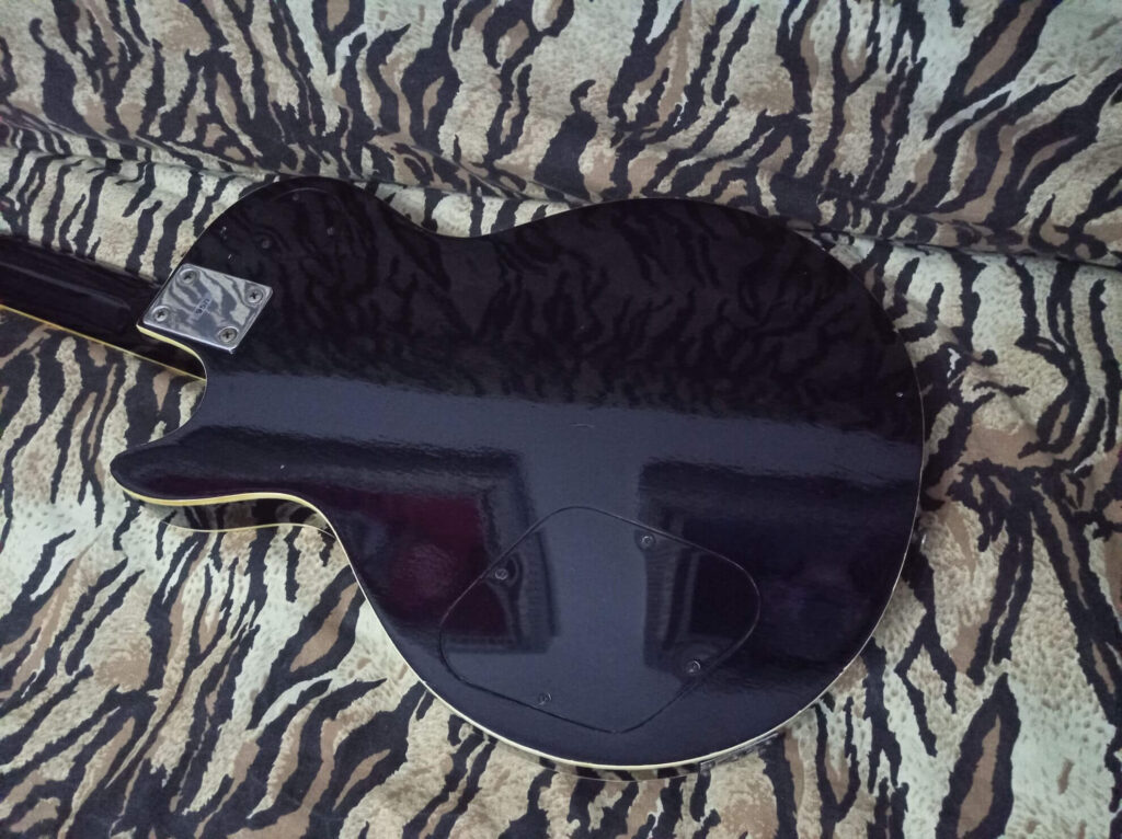 Vista body posteriore Satellite 95i