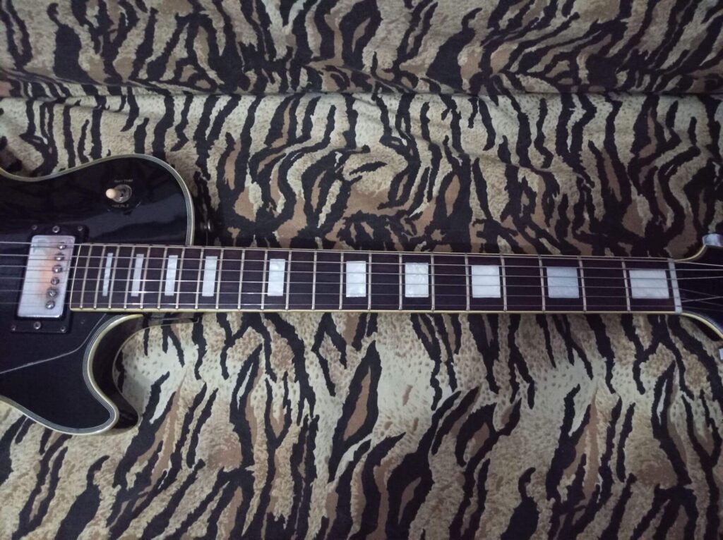 Vista manico della Satellite 95i