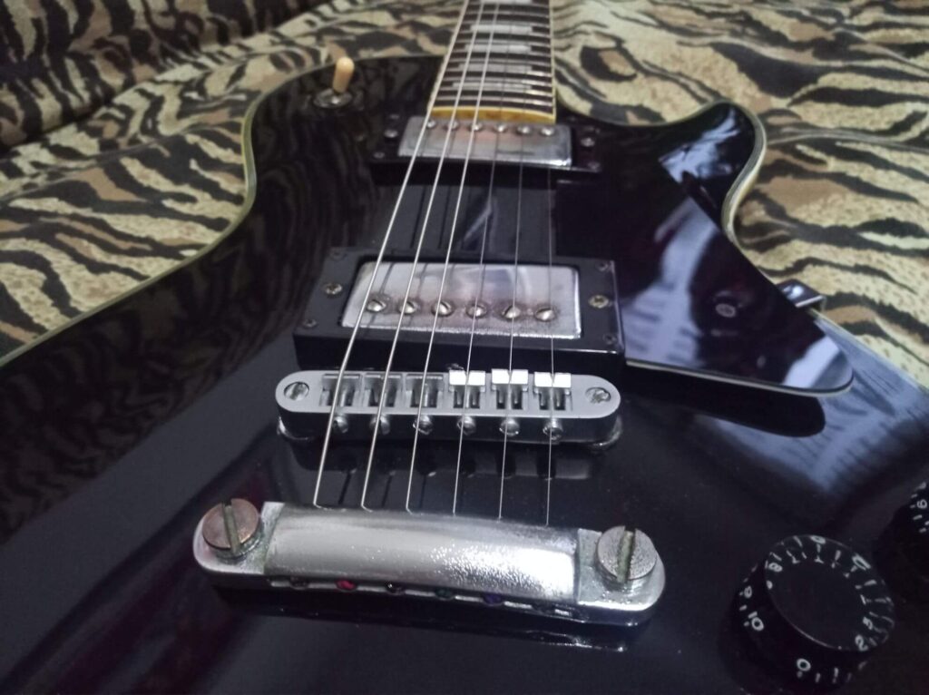 Vista ponte e pickups Satellite 95i