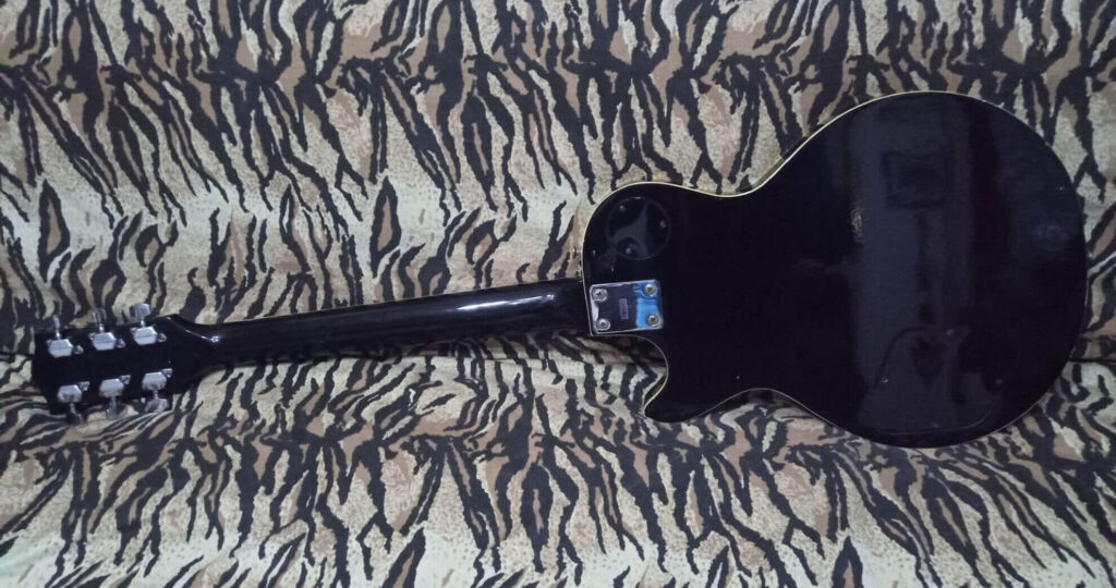 Vista posteriore Satellite 95i