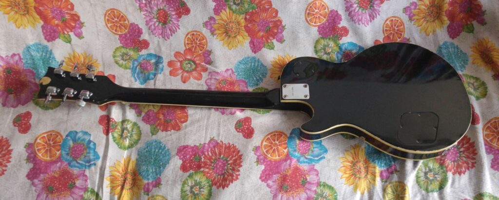 Vista posteriore Cimar no.1904